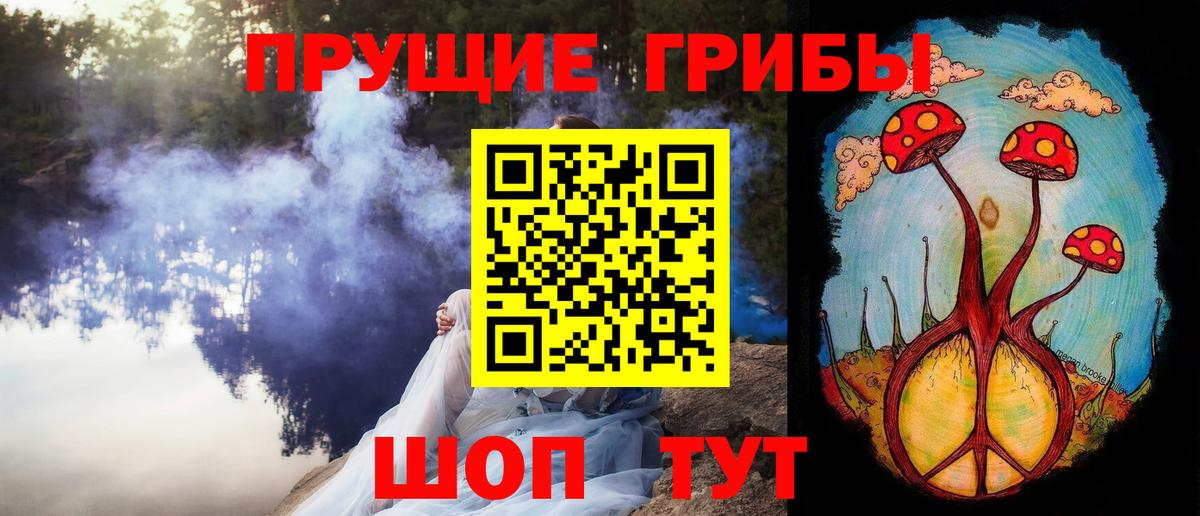 Псилоцибиновые грибы Psilocybine cubensis Брянск