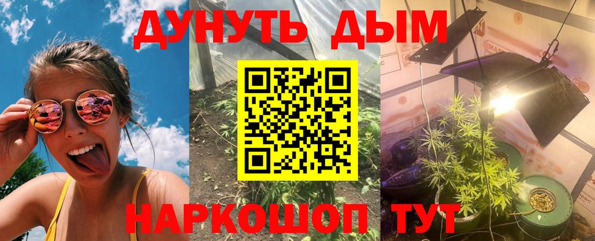 Бошки марихуана LSD WEED  Вход с VPN  Канабис SATIVA & INDICA  Брянск  Каннабис MAZAR 